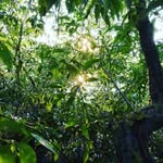JanRossi - @jan_rossi05 - Instagram