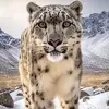 Jan Rossiter - @jan.rossiter - TikTok