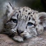 Jan Rossiter - @jerossiter - Instagram