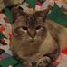 Jan Rucker - Facebook