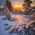 Jan Rychlik - @rychlik.jan - Instagram