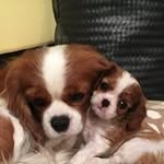 Jana Rychlik - @janarychlik - Instagram
