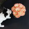 Phanthira Jansala - @phanthirajansala - TikTok