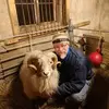 Jan Sanborn - @jansanborn1 - TikTok