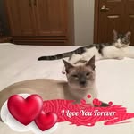Jan Sanders - @jansanders725 - Instagram