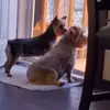Jan Sanders- Bruce - @jan.sanders.bruce - TikTok