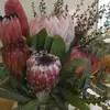 jansanders50 - @jan070723 - TikTok