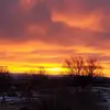 Jan Sapp - @jan.sapp - TikTok