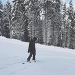 Jan Sauer - @_jansauer_ - Instagram