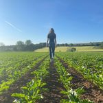 Jan Sauerwein - @jan__sauerwein - Instagram
