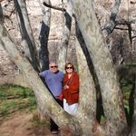 Jan Saylor - @jsinteriorsllc - Instagram
