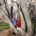 Jan Saylor - Facebook