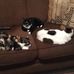 Jan Schaefer - Facebook