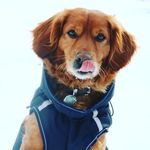 Janosch Schlesinger - @janosch_schlesinger - Instagram