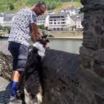Jan Scholtens - @jan.scholtens.52 - Instagram