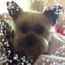 Jan Schrock - Facebook