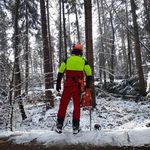 Karl Heinz - @jan.seifert97 - Instagram
