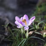 Jan Sievers - @nature.j_sie - Instagram