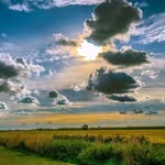 Jan Sievers - @twinsenhund - Instagram