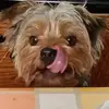 Jane Singletary - @jane.singletary - TikTok