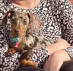 Jan Singleton - Facebook