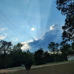 Janet Singleton - Facebook