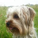Jan Skipper - @skipperjan - Instagram