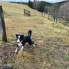 janasklenarova509 - @janasklenarova509 - TikTok