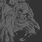 Jan Błażej Słodkowski - @janslodkowski - Instagram