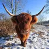 Jan Smeets982 - @jansmeets982 - TikTok