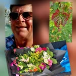 Jan Smeets - @j195174smeets - Instagram