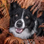 Jan Smeets - @jan.smeets.961 - Instagram