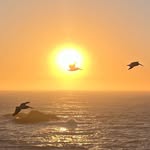Robert Jan Smeets - @rjsmeets - Instagram