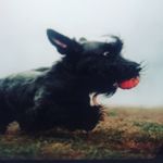 Jan Smets - @janne_divanne - Instagram