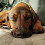 Jan Sobolewski - @jan.sobolewski647 - Instagram