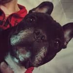 Jan Solberg - @jansolberg59gmailcom - Instagram