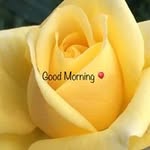 Jan Sona - @jan.sona.35110 - Instagram