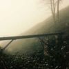 jansosad_ - @jansosad_ - TikTok