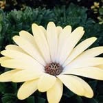 Jan South - @jan.south - Instagram