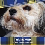 Jan Southwick - @jan.southwick.9 - Instagram