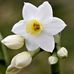 Jan Spaulding - Facebook