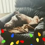 Janice Speer - @janspeer61 - Instagram