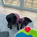 Jan Spencer Baird - Facebook