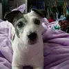 janspencer987 - @janspencer987 - TikTok