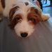 Jane Spivey - Facebook