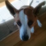 Janet Fay Spivey - @janet.f.spivey - Instagram