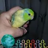 Janice Sproul - @janicesproul - TikTok