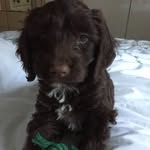 Jan Squires - @jansquires123 - Instagram