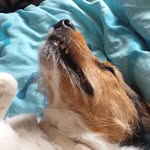 Jan Stachowicz - @jestem____janeq - Instagram