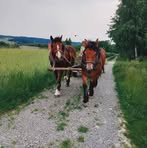 Janusz Stachowicz - Facebook